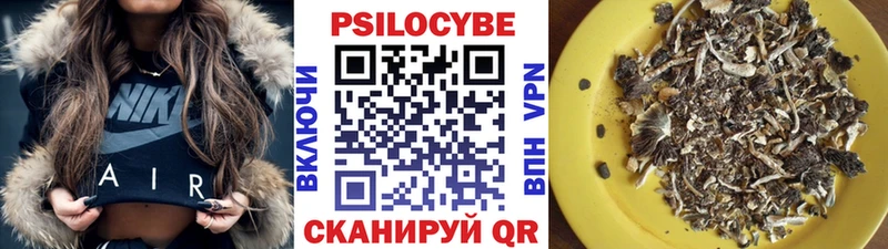 цены   Крымск  mega зеркало  Псилоцибиновые грибы мицелий 