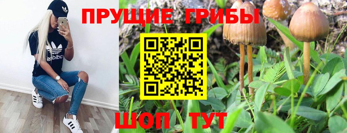 Псилоцибиновые грибы ЛСД Крымск